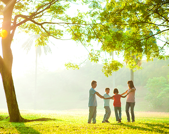 Greenery Environment 1